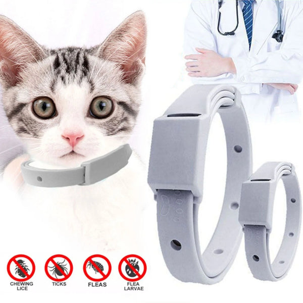 Anti Flea Tick Collar  Cat Small Dog Antiparasitic 8Month Protection Adjustable Puppy Kitten Collar Breakaway Pet Accessories
