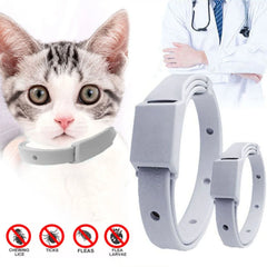 Anti Flea Tick Collar  Cat Small Dog Antiparasitic 8Month Protection Adjustable Puppy Kitten Collar Breakaway Pet Accessories