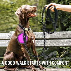Strong Reflective Dog Leash for All Breeds